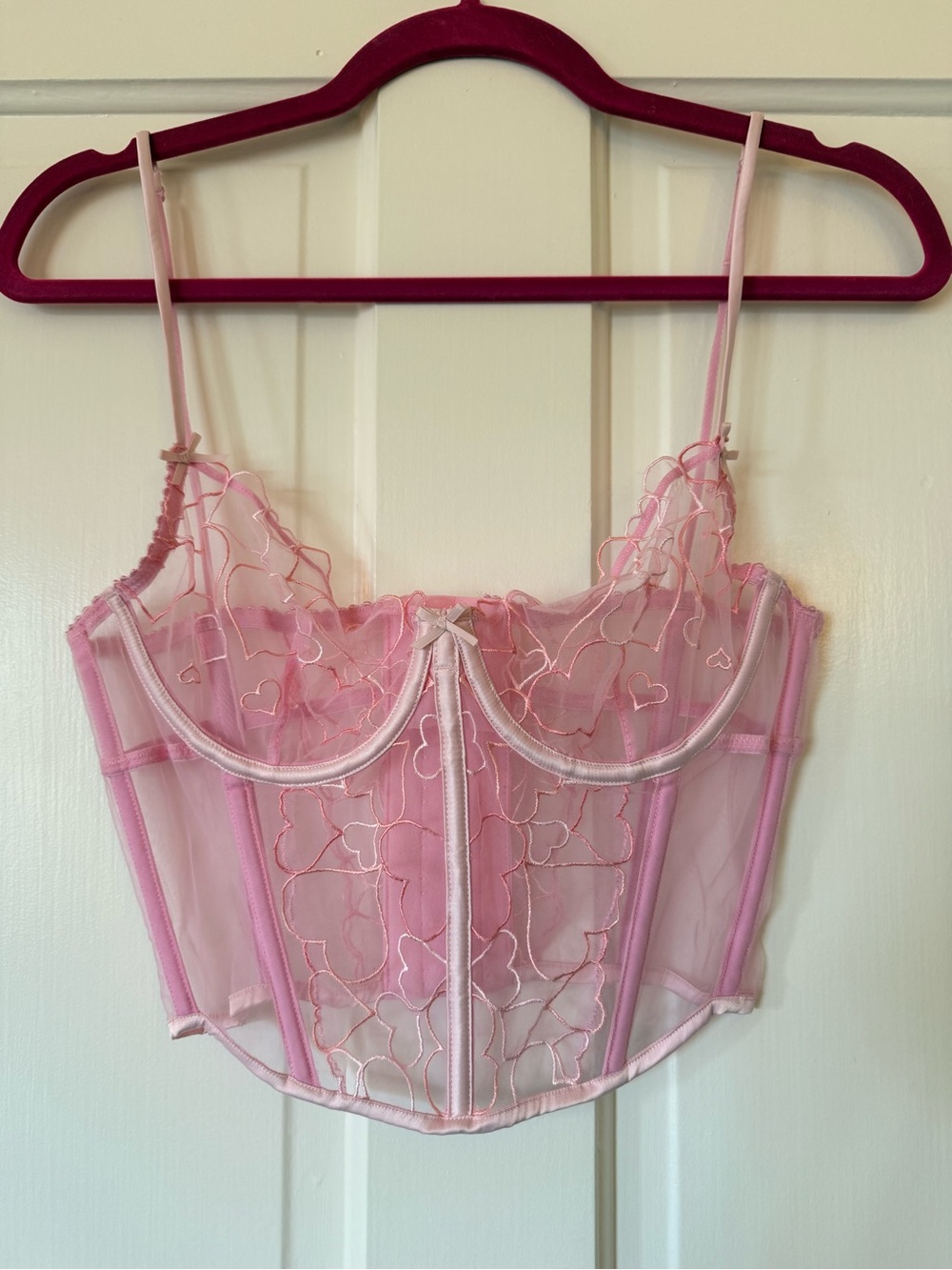 Skims Sheer Pink Embroidered Bustier Corset Top - Elegant Women's Intimates
